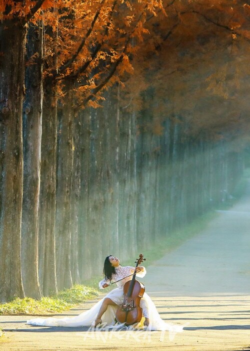 임진각 촬영회 코리안드림1000만 캠페인 부대행사