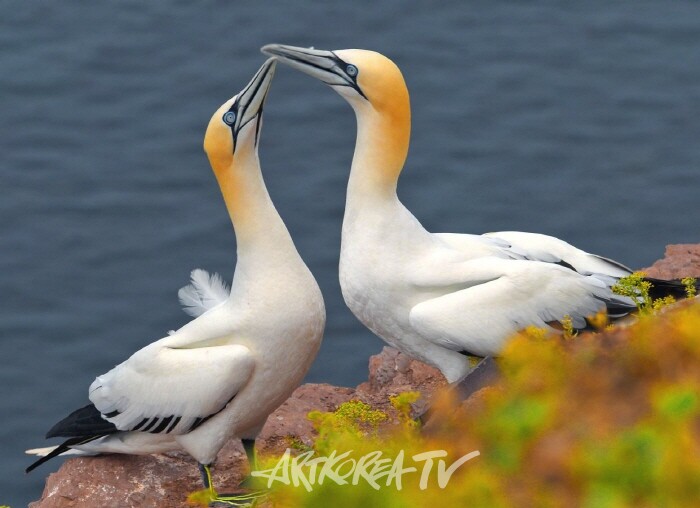 임진각 촬영회 코리안드림1000만 캠페인 부대행사
