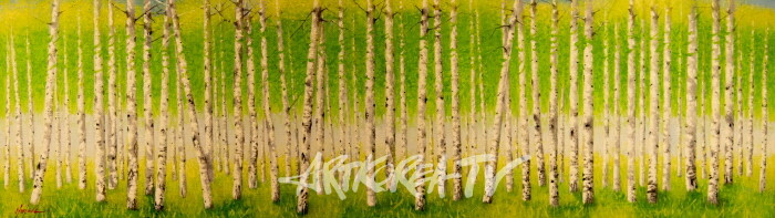 제17회 박락선 개인전 '자작나무-꿈을 찾아서' 전시작품