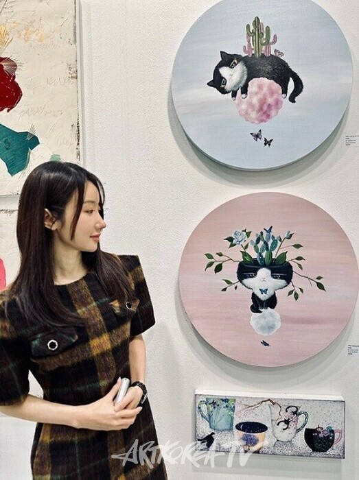 꿈꾸는 고양이,몽상의 세계-아세움