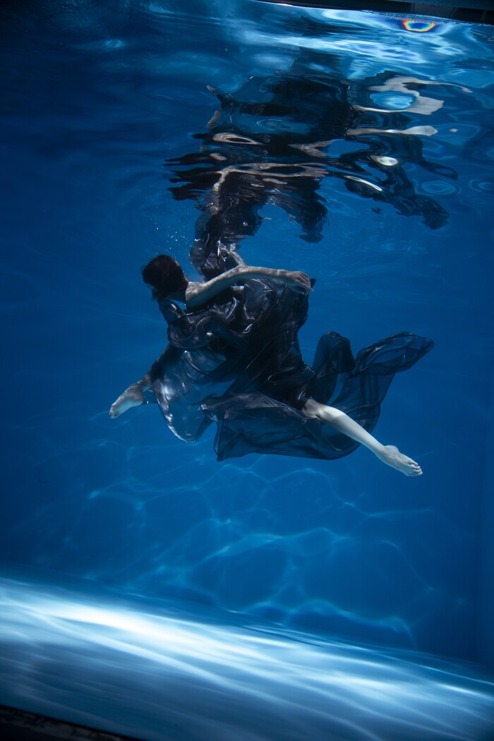 백조의 잠수컨셉사진. 제공 세종문화회관