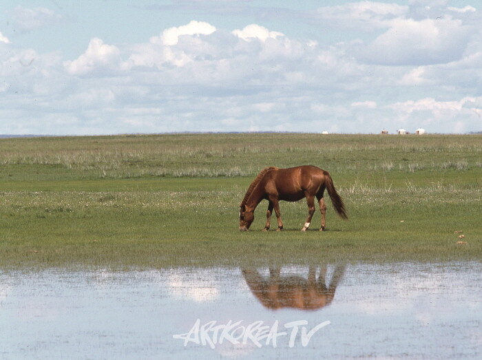 강지미 사진전 'Unbroken days'-휴식(休息)