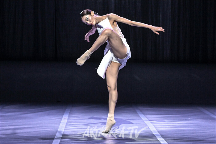 서울시발레단 차진엽 '백조의 잠수' 공연. 제공 세종문화회관