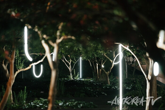 오종_빛 드로잉(숲) #1  ⓒ 국립아시아문화전당