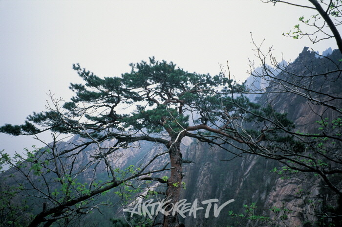 이향지의 탐승기1 '금강산'