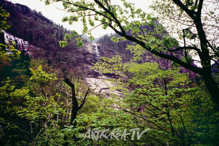 이향지의 탐승기1 '금강산'