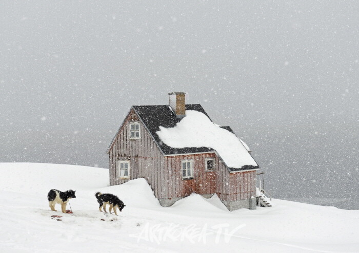 Home5_2015_Kuummiut_ⓒ Tiina_Itkonen_사진제공 공근혜갤러리