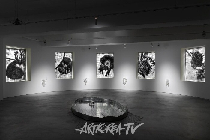 오묘초_피들헤드_2024