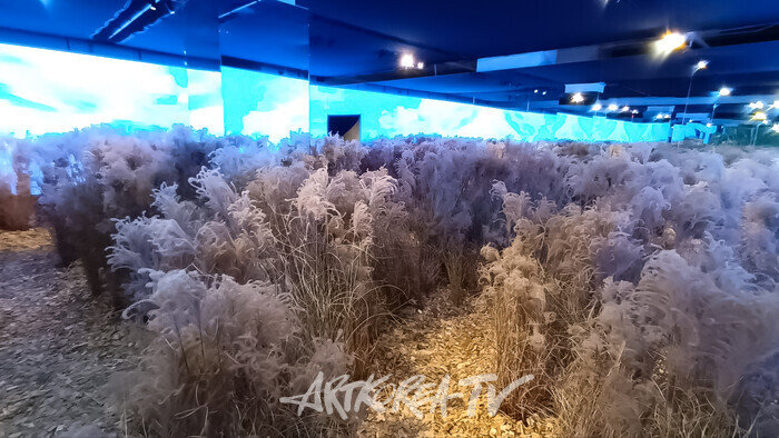 '시네마천국 이머시브 특별전-투.토토' 2024.12.19 사진 ⓒ아트코리아방송 이용선 기자