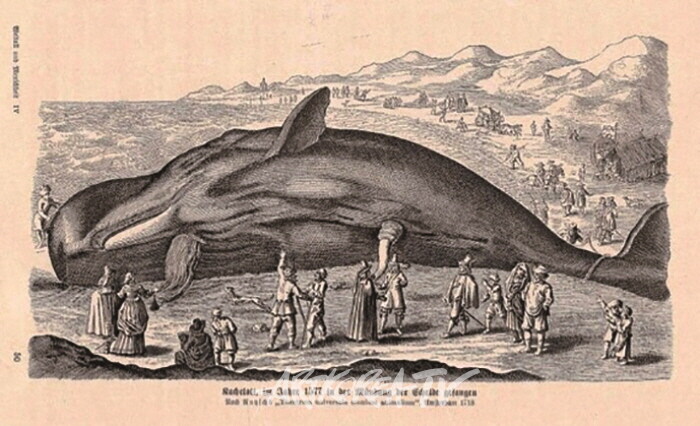 박명인 미학산책 도식론 Ⅱ