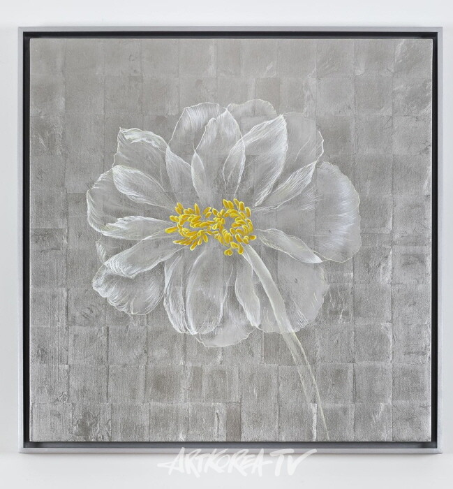 페로탕 서울 '호기심의 캐비넷'