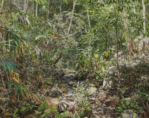 노경희 作_2024_02_130.5x162cm_린넨에 유화_2024