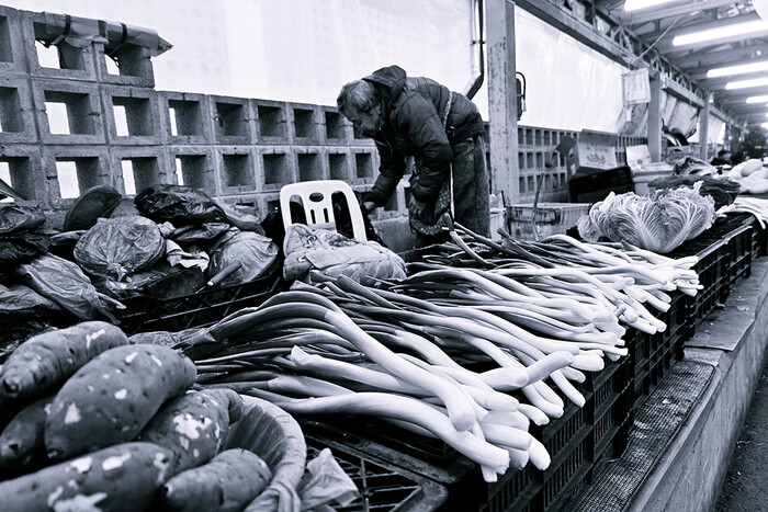 장희수 작가 사진전-제주 오일장 '장날'