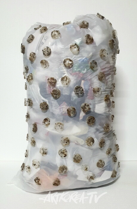 봉지3 75x36x23 vynil.plastic,벌레 2024