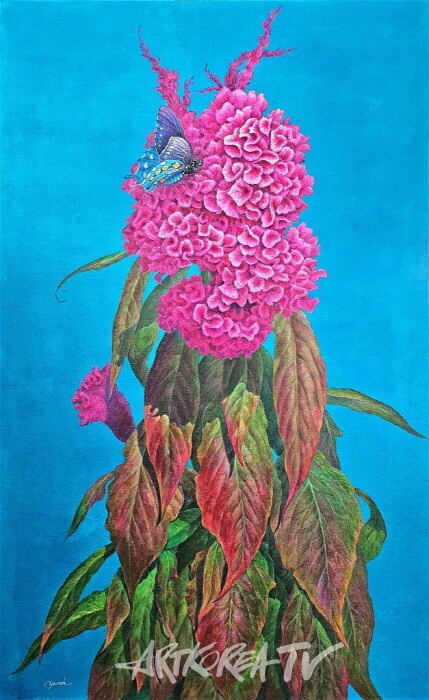 유명혜 개인전, ‘시들지 않은 사랑’-맨드라미꽃에 담긴 희망과 행복