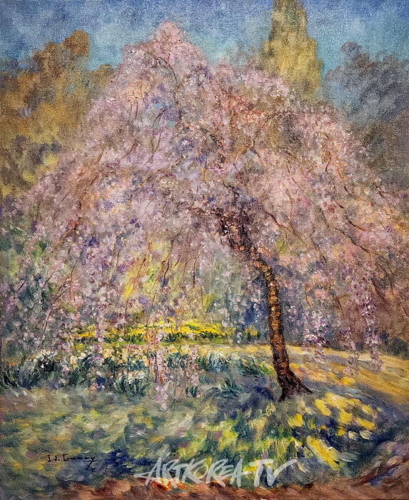 수양벚꽃나무 73×60cm Oil on canvas