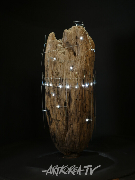 The light things, 15×30×15cm, 유목, LED, 2024