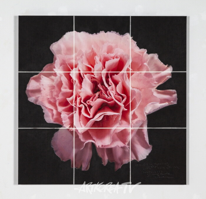 waitingspringwithcarnation2025013002