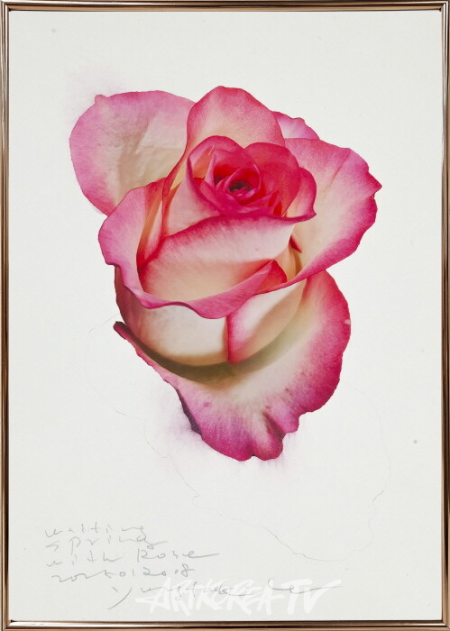 waitingspringwithrose2025012008