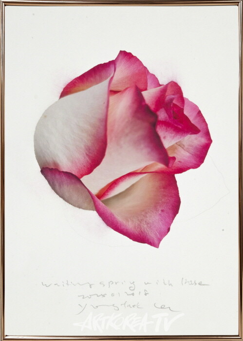 waitingspringwithrose2025012018