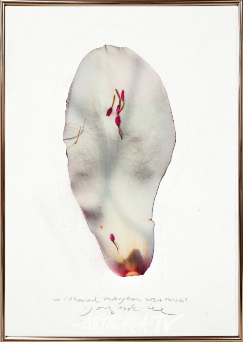 witheredmokryeon2024041140-