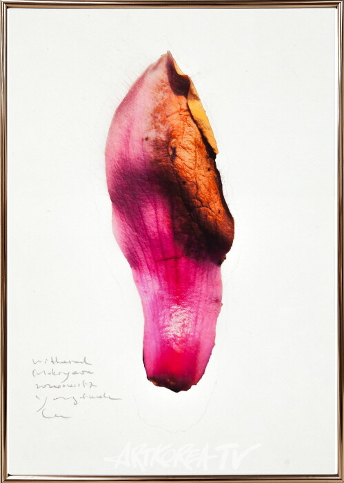 witheredmokryeon2024041157-