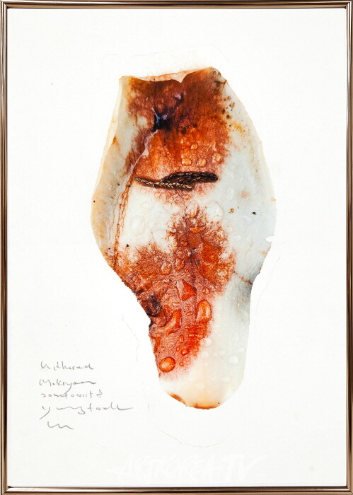 witheredmokryeon2024041158-