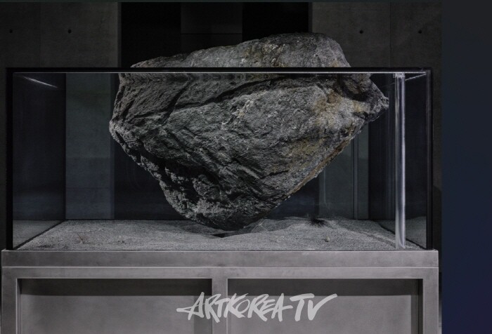 피에르 위그, 미술관을 살아있는 환경으로 재창조하다