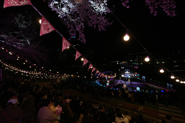 2025 양재천벚꽃등축제. 제공 서초문화원