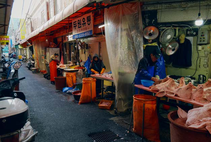 홍성우 생과 사 그리고 다시 삶-사진제공 갤러리 류가헌