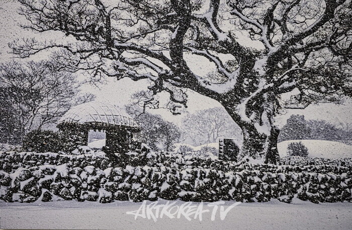 안진언 작가-2025 Art Korea Global ART Fair에서 선보인 ‘선작지왓의 눈결’