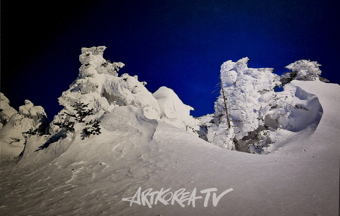 안진언 작가-2025 Art Korea Global ART Fair에서 선보인 ‘선작지왓의 눈결’