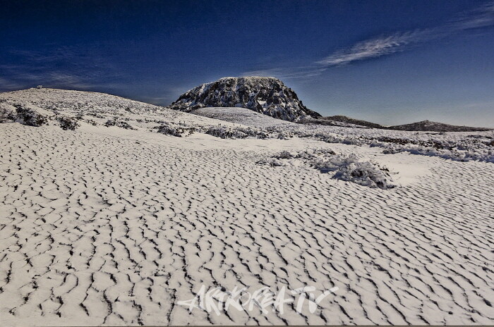 안진언 작가-2025 Art Korea Global ART Fair에서 선보인 ‘선작지왓의 눈결’
