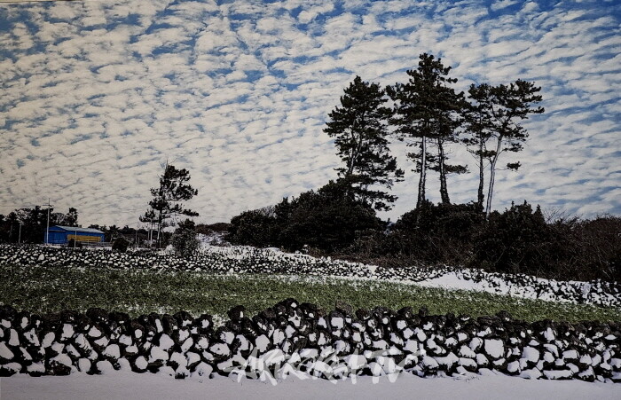 안진언 작가-2025 Art Korea Global ART Fair에서 선보인 ‘선작지왓의 눈결’