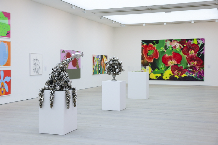Saatchi-Gallery-Flowers-MattChungPhoto-lo-res-240-사진 사치갤러리