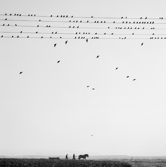 펜티 사말라티 Przevorsk Poland 2005 ©Pentti Sammallahti, 사진제공 공근혜갤러리_