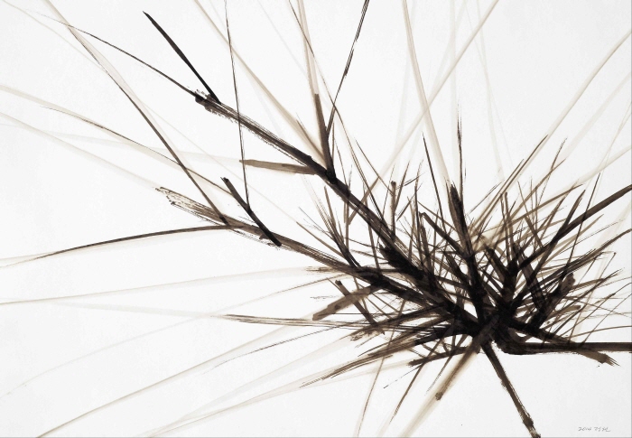 정현, Untitled, 2014, Coal tar on paper, 54.5x78.5cm - 자료제공 ⓒ갤러리끼