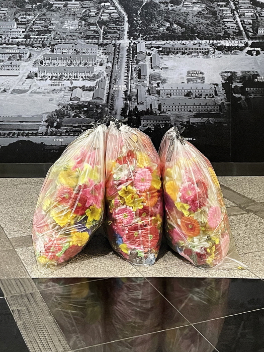 이돈순_대통령의 꽃_용산 대통령실 주변 조화 수집(과정)_디지털 프린트_27.2x22cm_2024-사진 이돈순 작가 제공