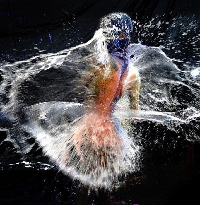 김가중식 물폭탄 퍼포먼스-사진 한국사진방송 제공