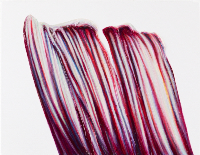 Sangbin IM, One Stroke 6.11, 31.8x40.9cm, Acrylic on canvas, 2025-사진 갤러리 나우 제공