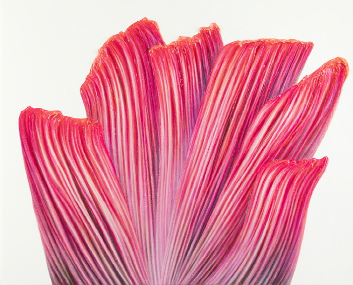 Sangbin IM, One Stroke 304, 72.7x91cm, Acrylic on canvas,  2024-사진 갤러리 나우 제공