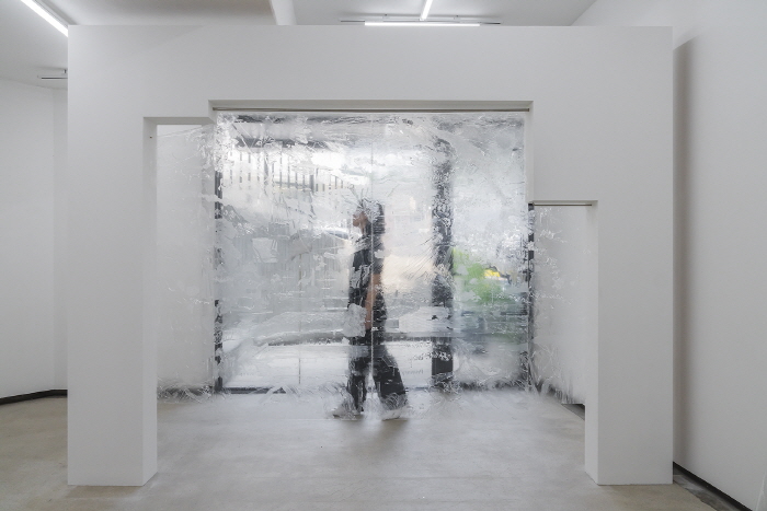 조혜진, 창문들, 2024, 우레탄 필름, 겔미디엄, 목재, 가변크기, Primary Practice-사진제공 일우스페이스