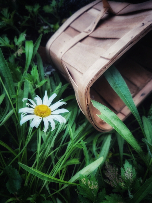 이효경-산다는 것은 소중한 것입니다 45x62cm-사진제공 공미라 작가