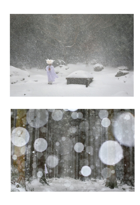 제주의 영혼을 품은 사진예술, 오수진 작가