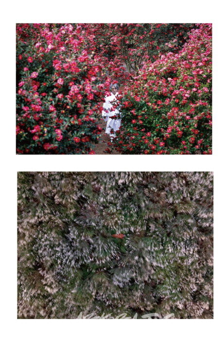 오수진 사진작가, 제주의 숨결을 담은 ‘숨비령’