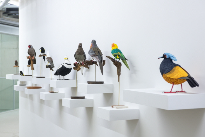 신진작가 이재혁, '종이 위에 새긴 생명 존중의 메시지'-사진제공 사비나미술관