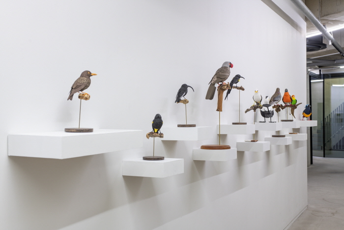 신진작가 이재혁, '종이 위에 새긴 생명 존중의 메시지'-사진제공 사비나미술관