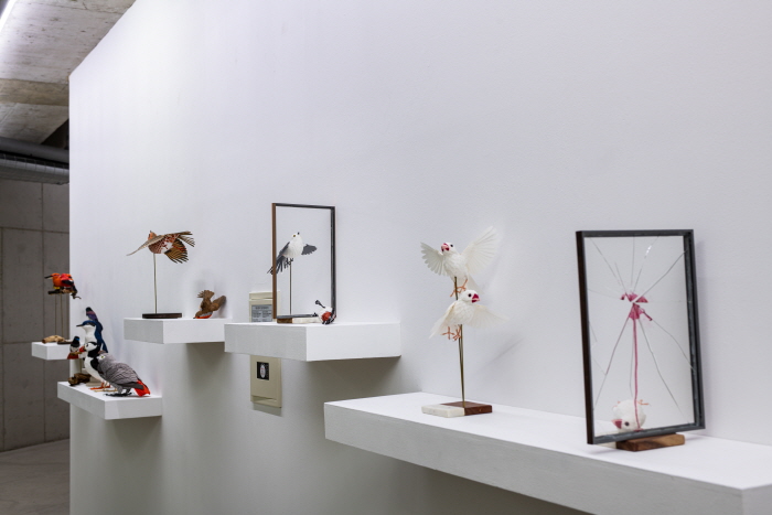 신진작가 이재혁, '종이 위에 새긴 생명 존중의 메시지'-사진제공 사비나미술관