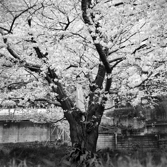 Shinya Arimoto-사진제공 2025 DAEJEON PHOTO