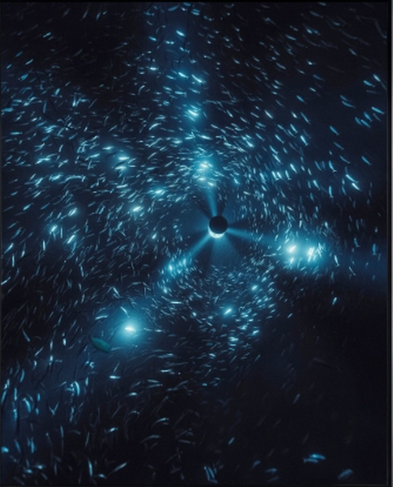 줄리안 사리에르 미드나잇 존-152 패덤즈 2025 194.5-158cm-사진제공 페르탕 서울